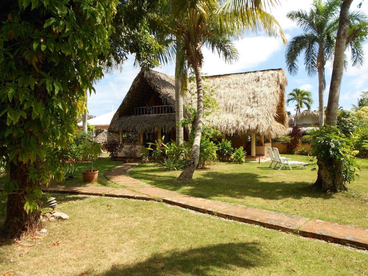 Palm-Covered House In The Tropical -Casa Oli Las Galeras Esterno foto