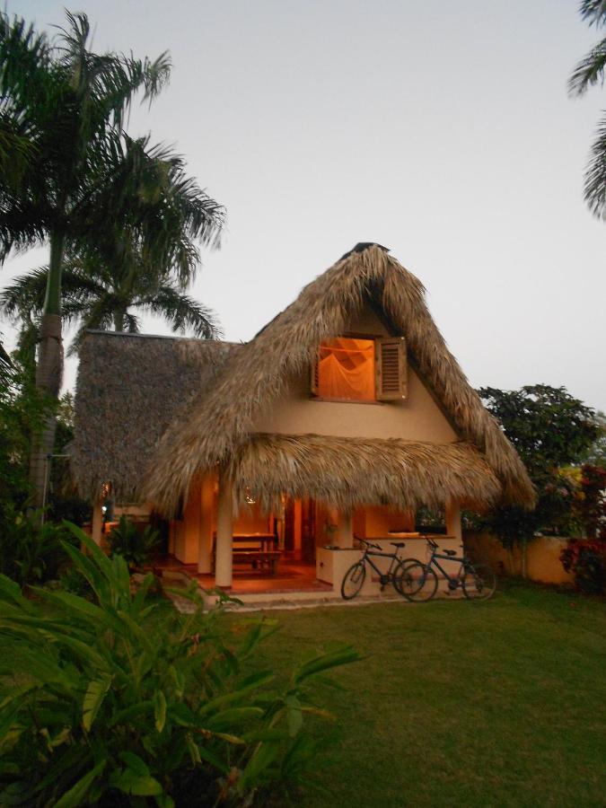 Palm-Covered House In The Tropical -Casa Oli Las Galeras Esterno foto