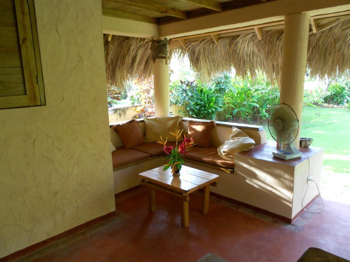 Palm-Covered House In The Tropical -Casa Oli Las Galeras Esterno foto