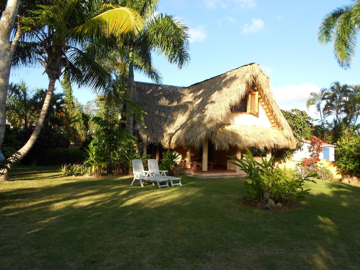 Palm-Covered House In The Tropical -Casa Oli Las Galeras Esterno foto