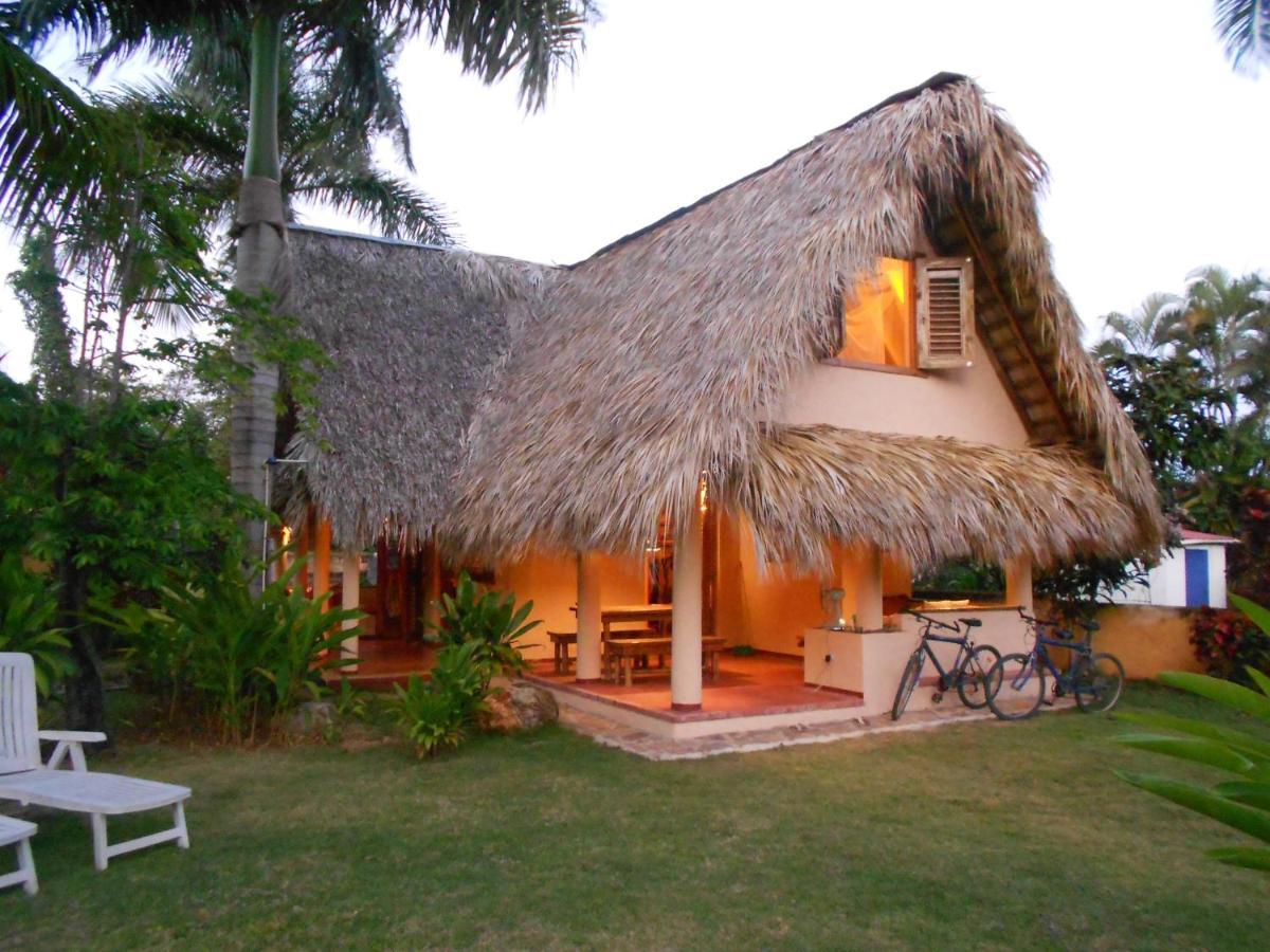 Palm-Covered House In The Tropical -Casa Oli Las Galeras Esterno foto