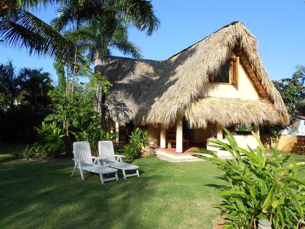 Palm-Covered House In The Tropical -Casa Oli Las Galeras Esterno foto